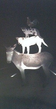 №131, Так-То Лучше №131, Так-То Лучше