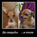 Фотография Кирюха ...