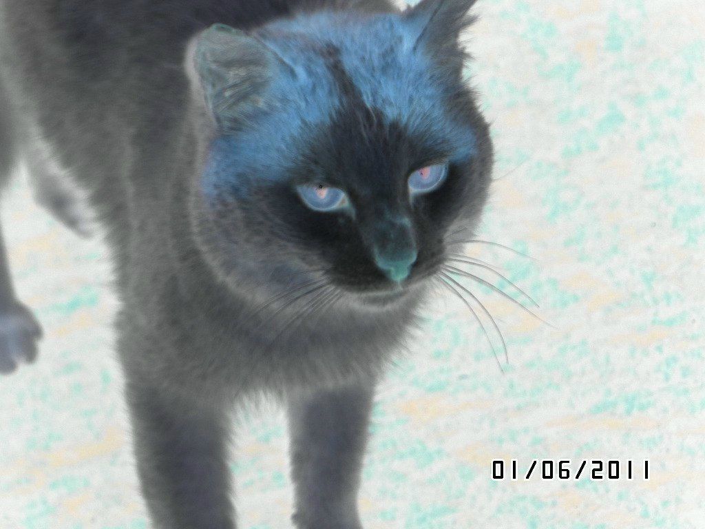 Владимир Иванов | 