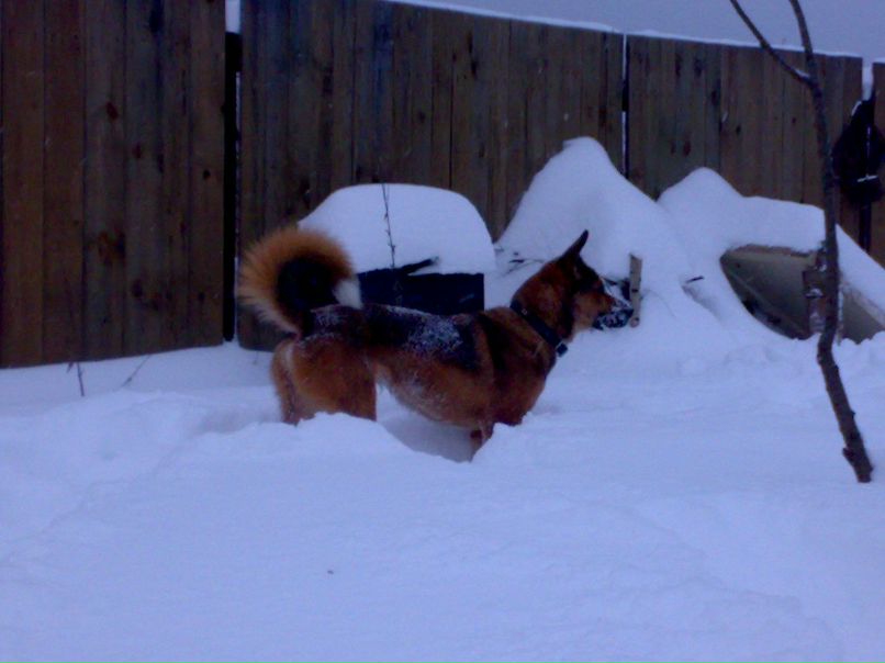 Екатерина Степанова | Санкт-Петербург