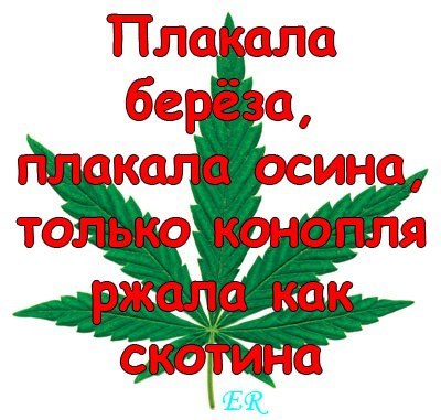 Игорь Терёшин | Санкт-Петербург