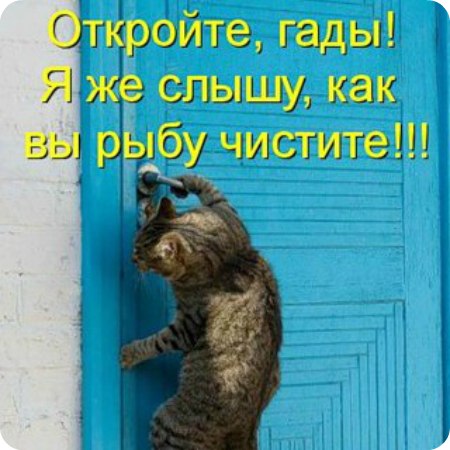 Андрій Поворозник | Тернополь