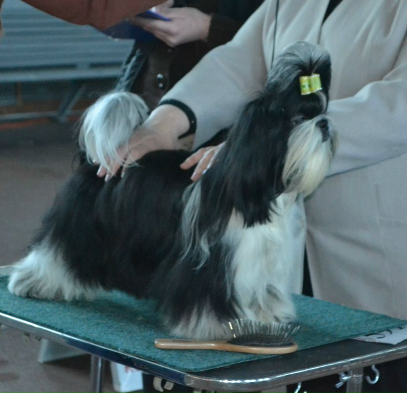 Оля Фартушна | Кривой Рог