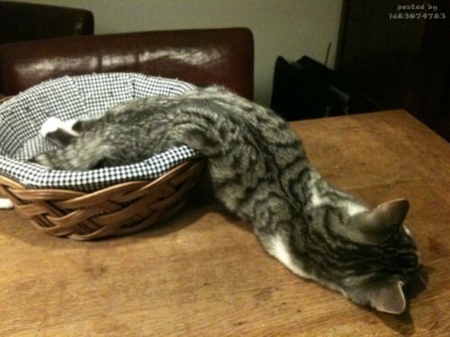 Юлия Гоцко | Санкт-Петербург