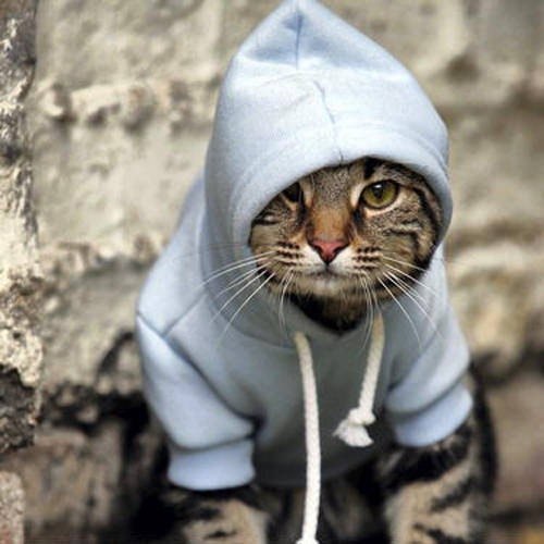 Денис Кособок ⎝⏠⏝⏠⎠ | Запорожье