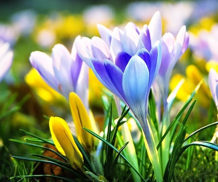 Олеся Масловская | Москва