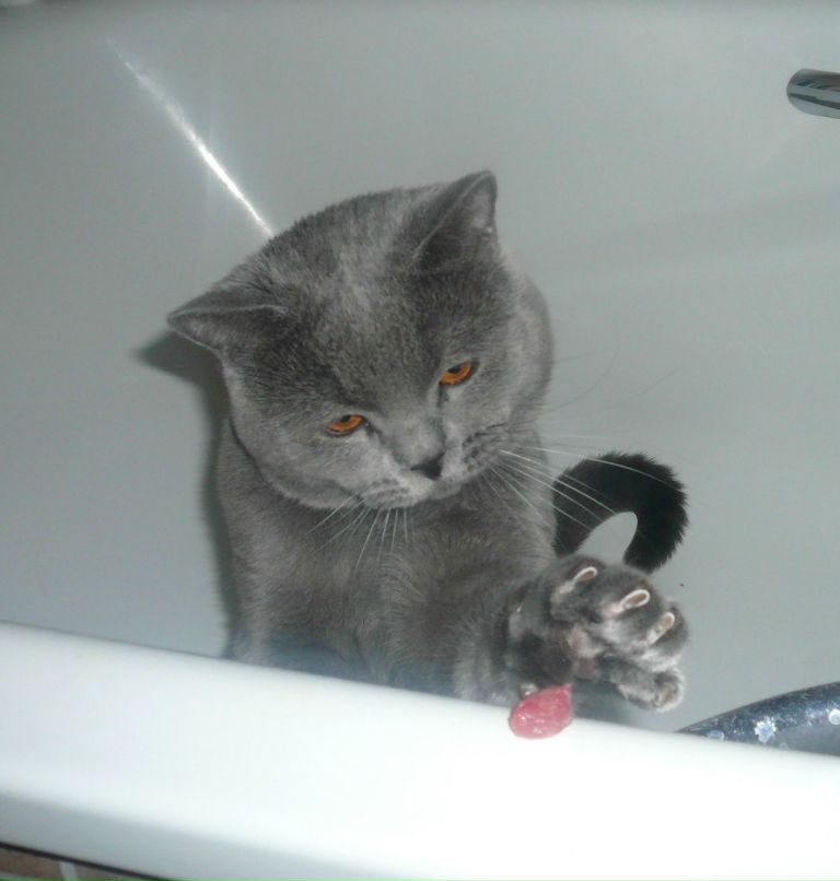 Наталья Аверченко | Ставрополь