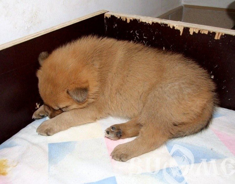 Андрей Франко | 