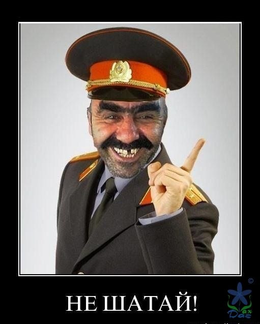 Ви Тамбиева | 