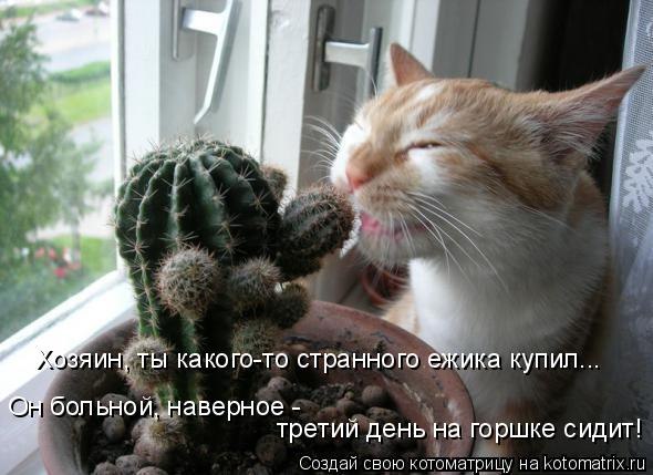 №11, Юля Юсупова №11, Юля Юсупова