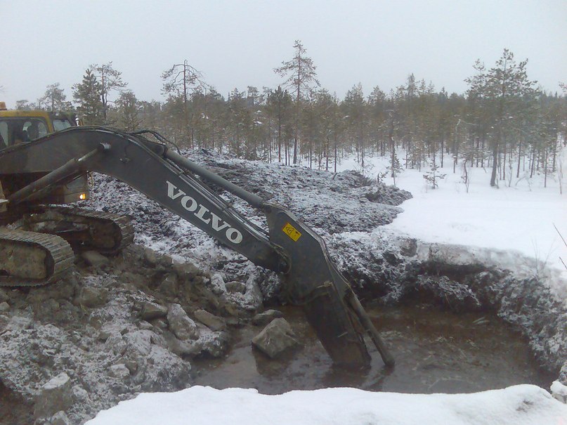 Владимир Петров | Пудож
