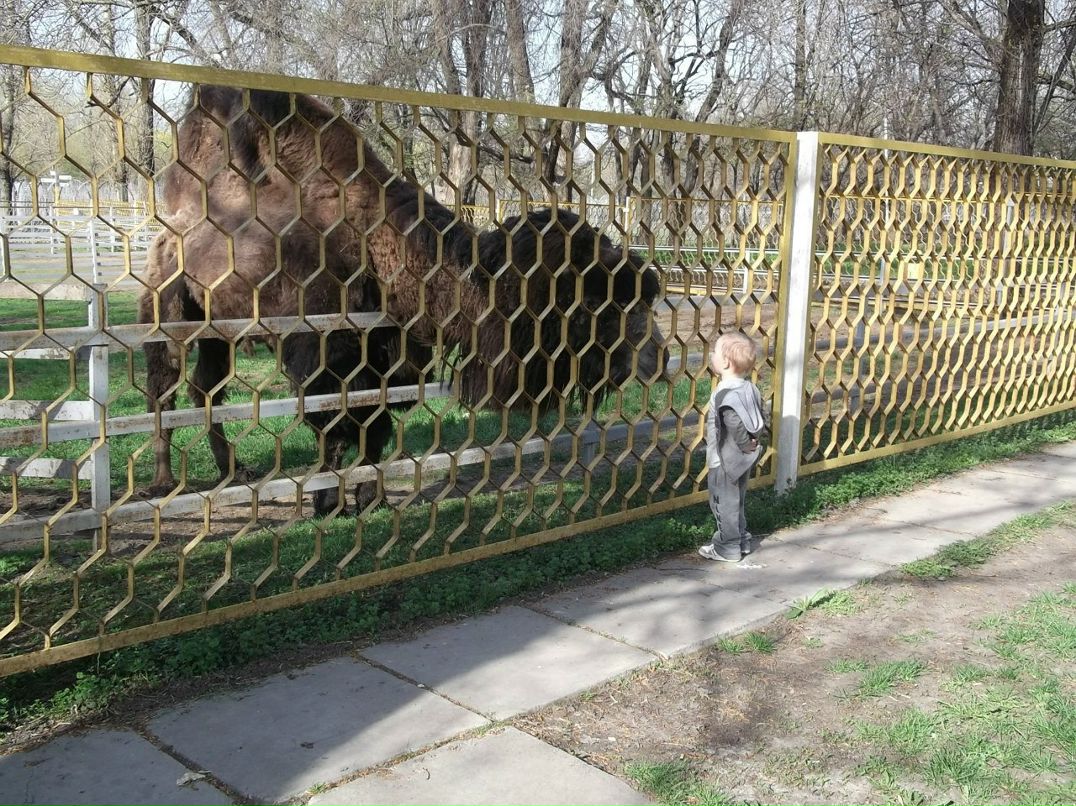 Надежда Поддубная | Миллерово