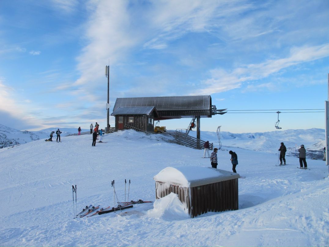 Елена Богданова DARA | Санкт-Петербург