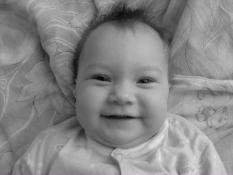 Ирина Быстрова | Пестрецы