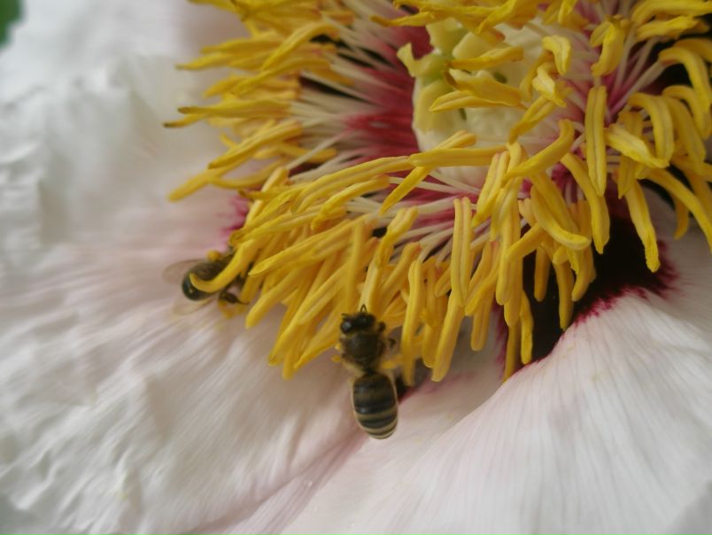 №41, Даша Гуленко, 29 лет, Киев №41, Даша Гуленко, 29 лет, Киев