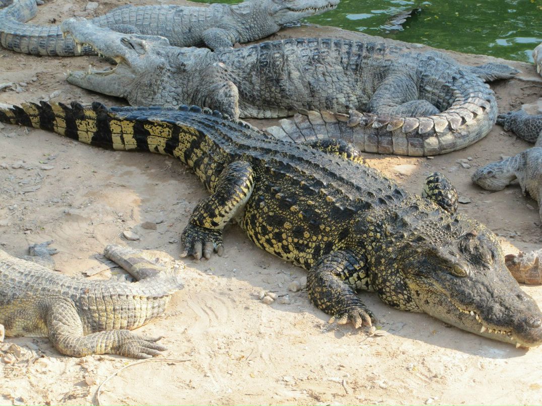 Евгений Вереютин John33 | Сочи