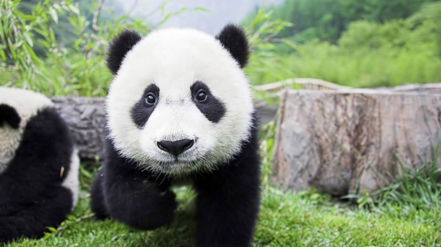 Макс Квардаков | Москва