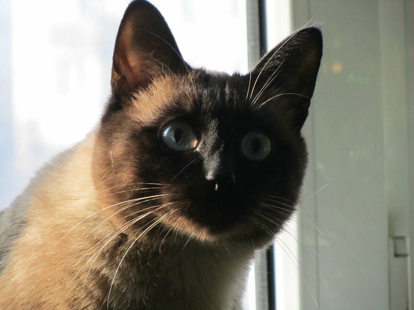 Баур Ермекбаев | Алматы