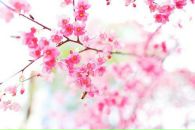 Фотография Лолита Казак