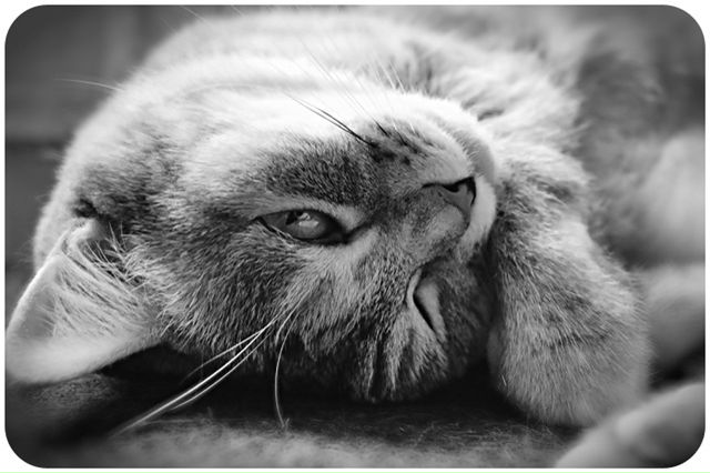 №132, Marianne Sebetova, Melbourne №132, Marianne Sebetova, Melbourne