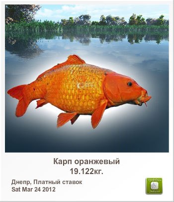 Руслан Невмержицкий | Киев