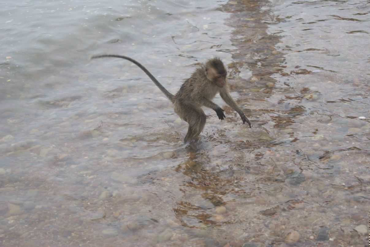 Дмитрий Сорокин | Москва