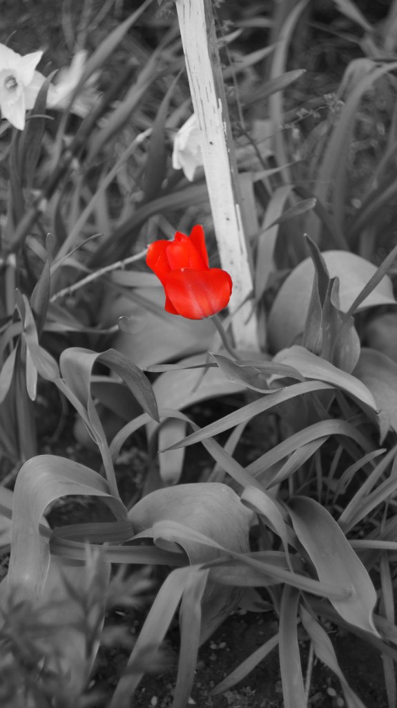 Денис Никитин | Ростов-на-Дону