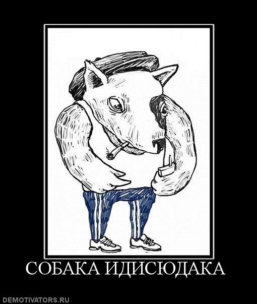 №13, Пачти Нигатив, Львов №13, Пачти Нигатив, Львов