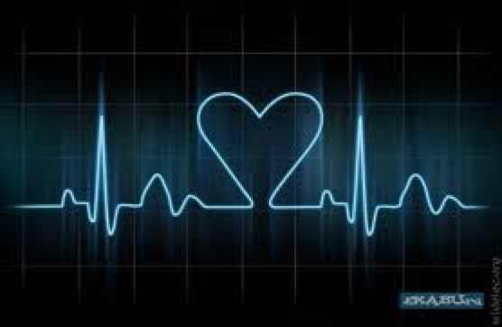 №156, Рома Пех, Санкт-Петербург №156, Рома Пех, Санкт-Петербург