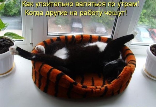 Юля Капелюшок | Киев