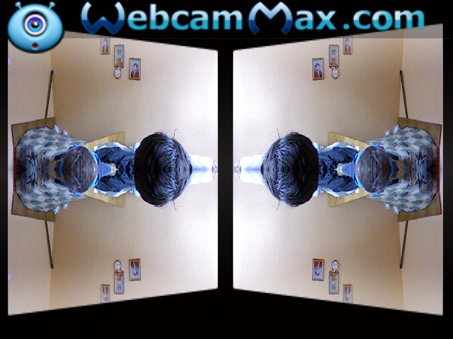 Дима Дубовый | Буча