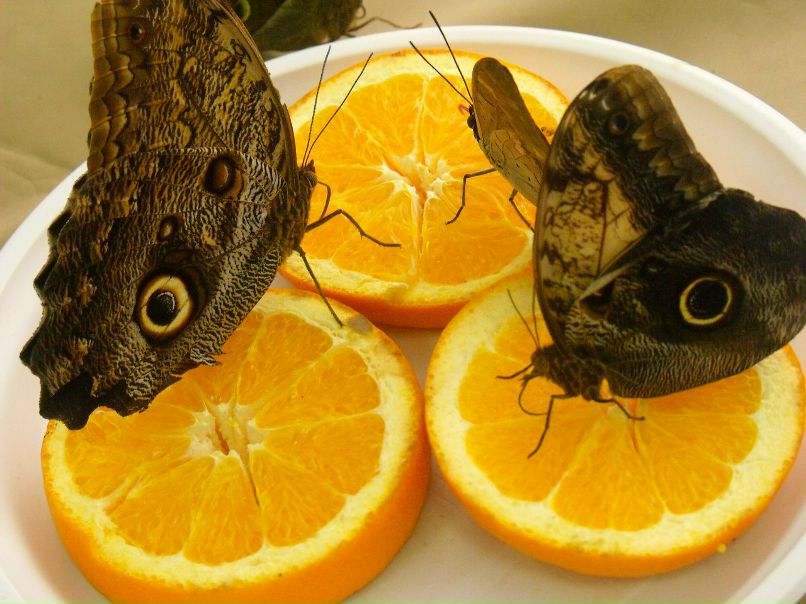 Галина Натыкан | Петропавловск-Камчатский