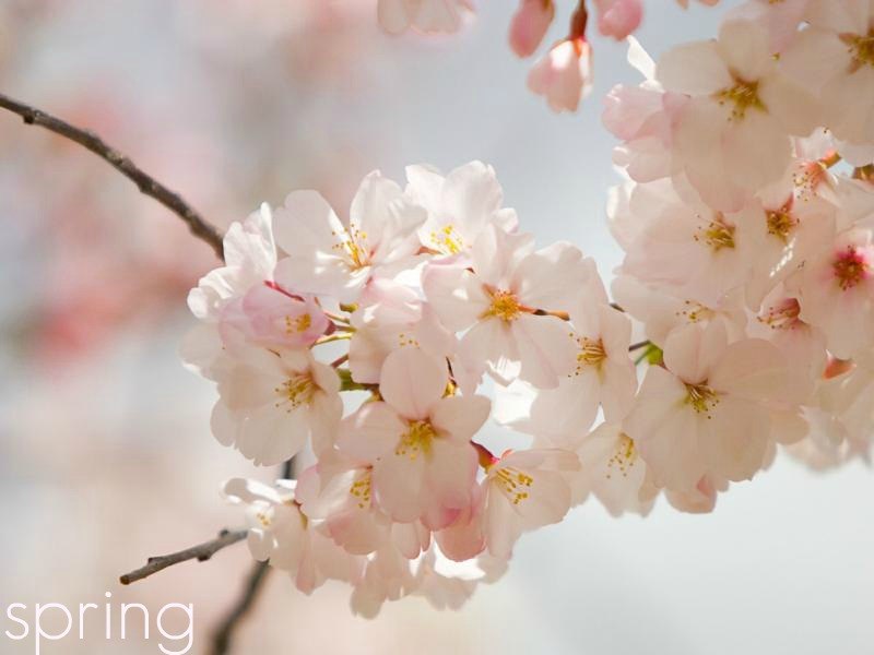 Оля Гришина | Днепр (Днепропетровск)