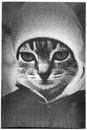 Фотография Костюченко Кати