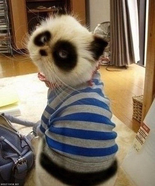 Наталья Аликина | Санкт-Петербург