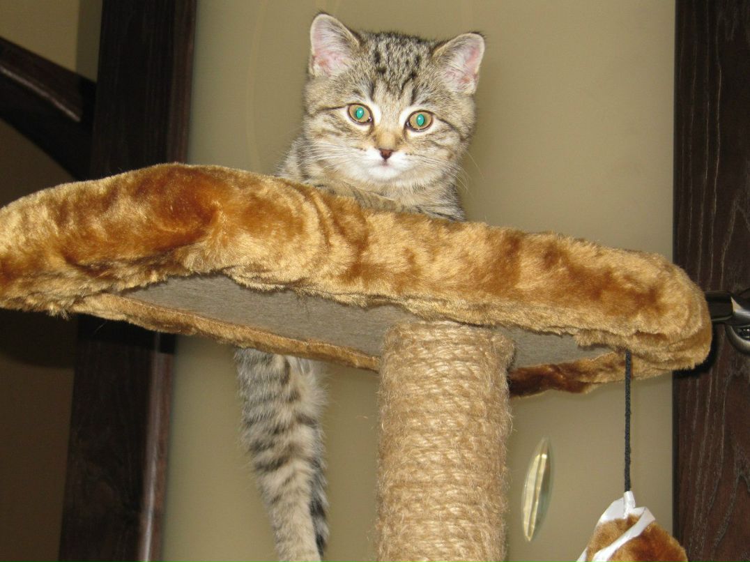 Вероника Губанова | Новокузнецк