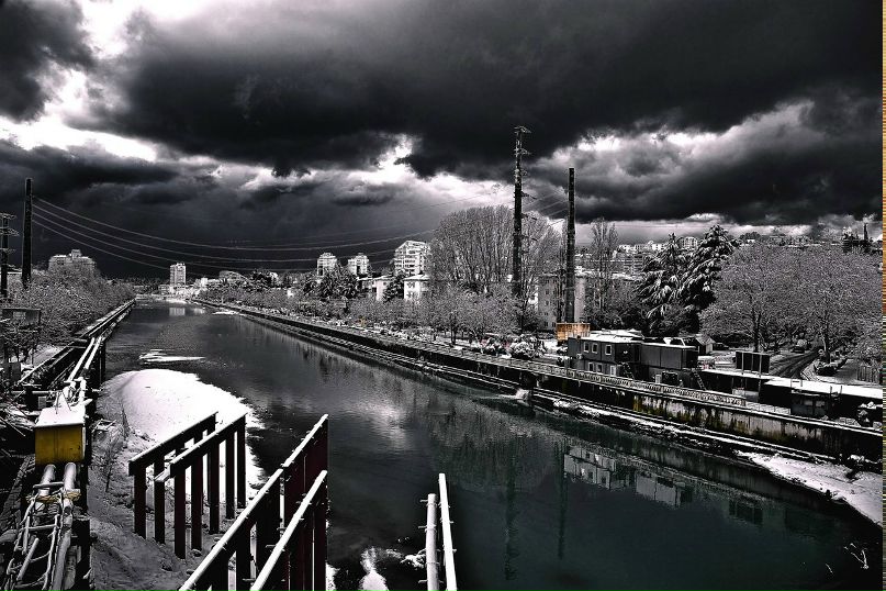 Фишио Фишъ | Сочи