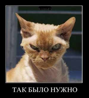 Константин Бондаренко | Москва