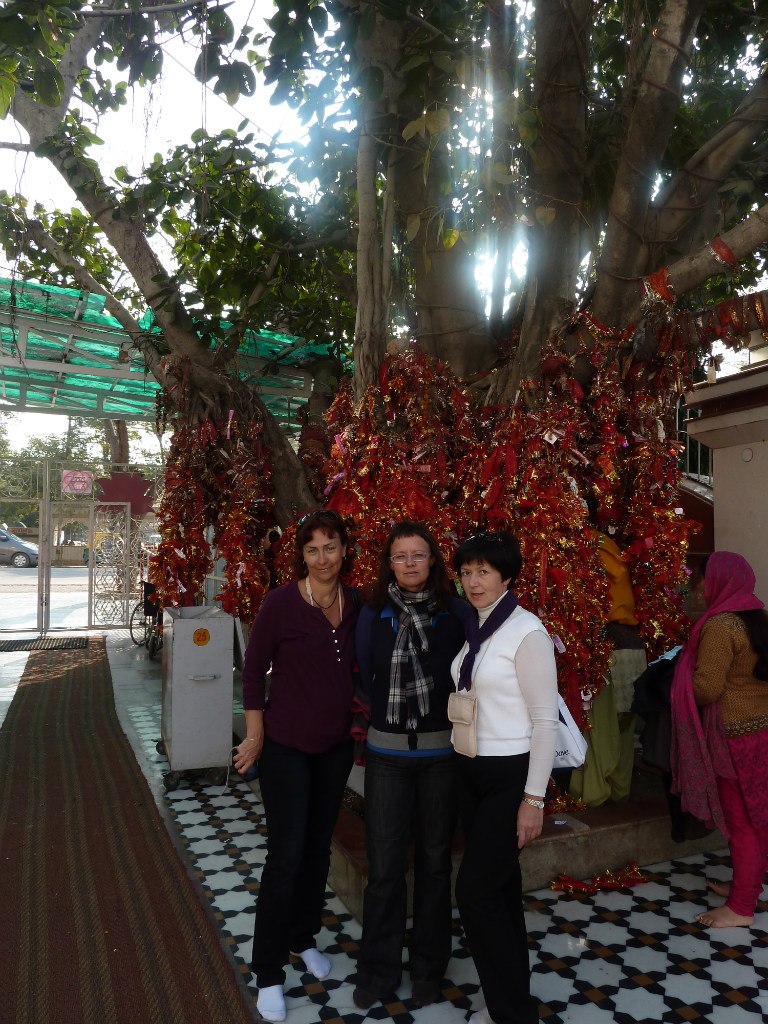 Анна Чесанова | Санкт-Петербург