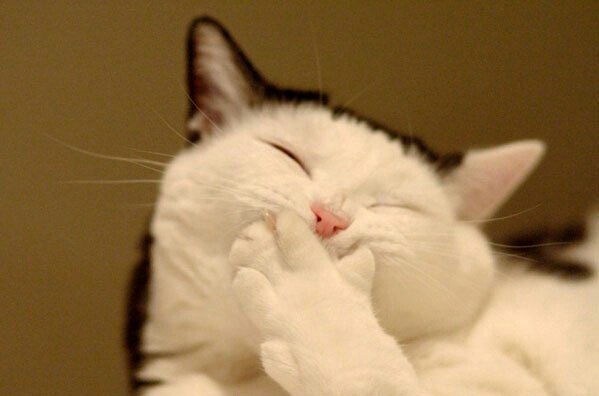 Елена Ушницкая | Якутск