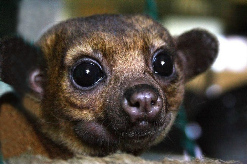 Ксюша Государева | Красноярск