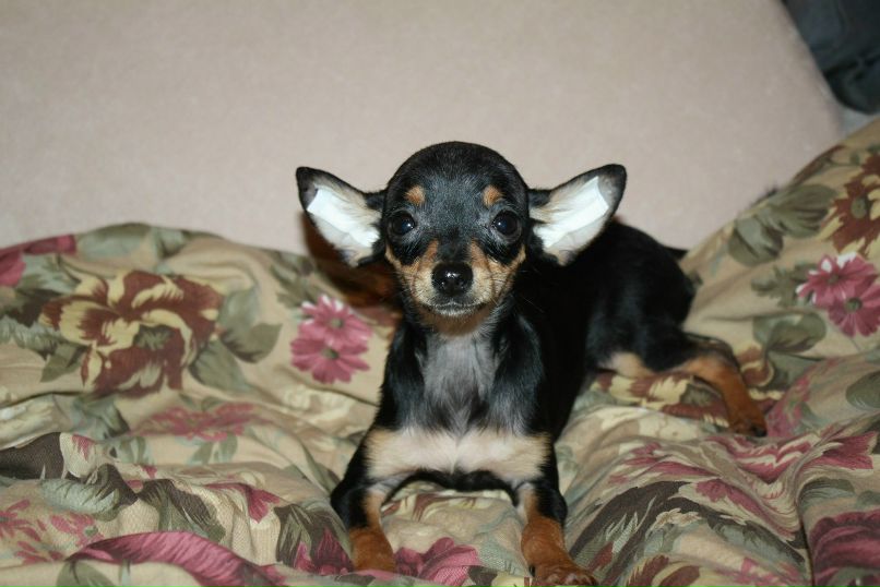 Oksana Pasechnik | Санкт-Петербург