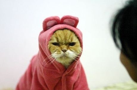 Кристина Матвеева | Минск