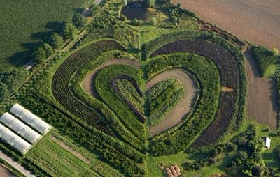 Чен Чень | Харьков