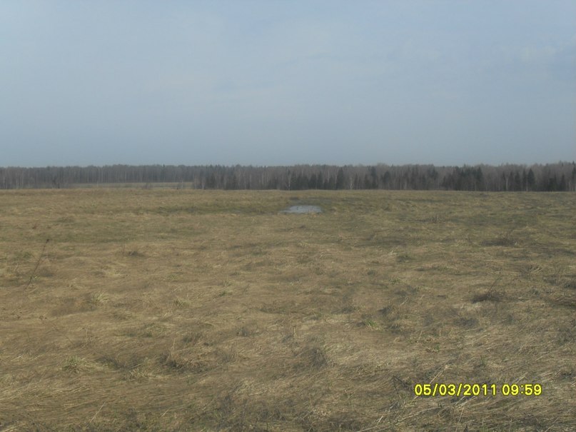 Николай Васин | Пошехонье