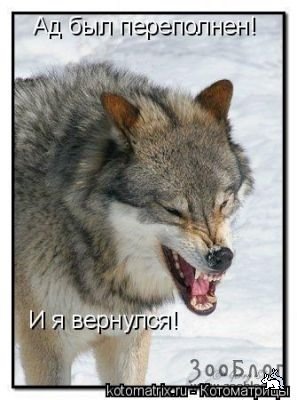 №57, Артём Воронцов, Москва №57, Артём Воронцов, Москва