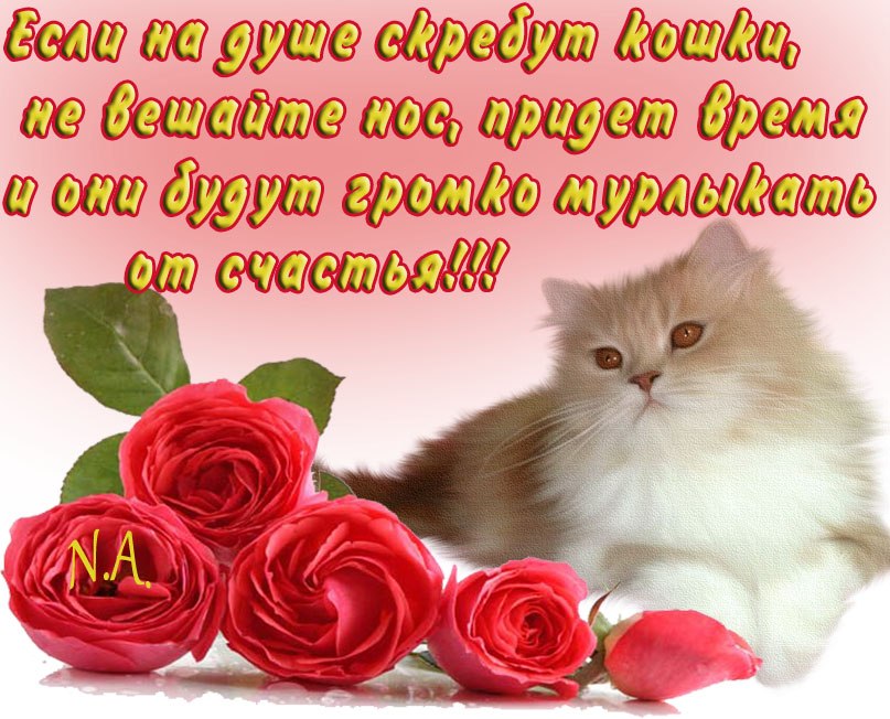 Елена Горохова | Москва