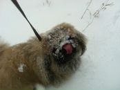 №14 Александра Чернова 05.09.1988: профиль, фото, статус - ВКонтакте