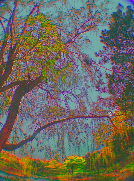 Egor Aksenov | Королёв