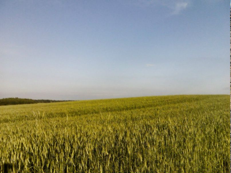 Алексей Авраменко | Круглое